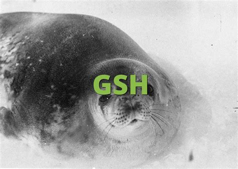 gsh meaning slang